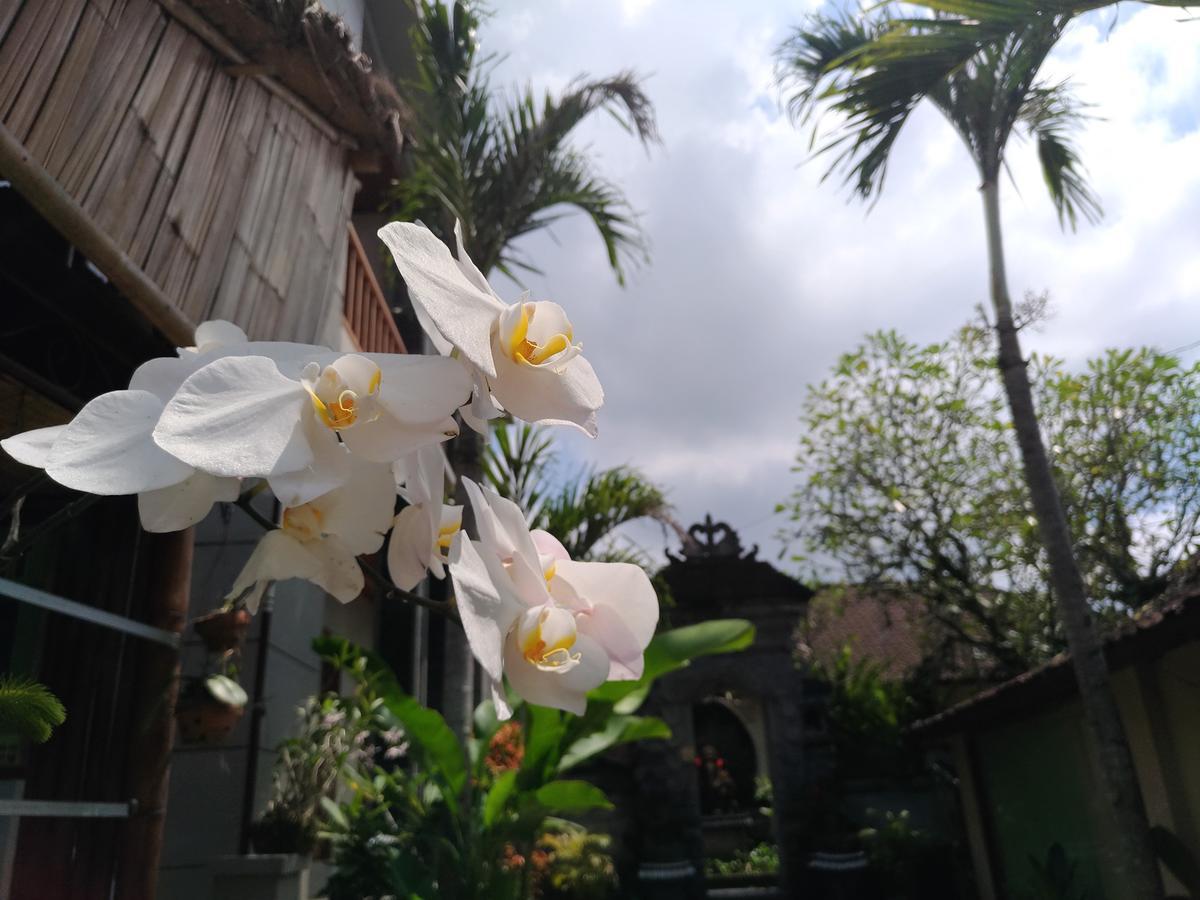 Mekenyem House Ubud Exterior photo